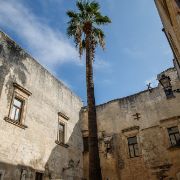 D_AMBROSIO FOTOGRAFIA-44