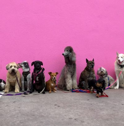 hannah-lim-U6nlG0Y5sfs-unsplash