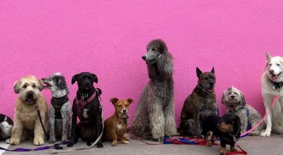 hannah-lim-U6nlG0Y5sfs-unsplash