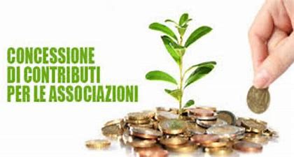 albero circondato da monete