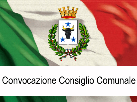 consiglio comunale